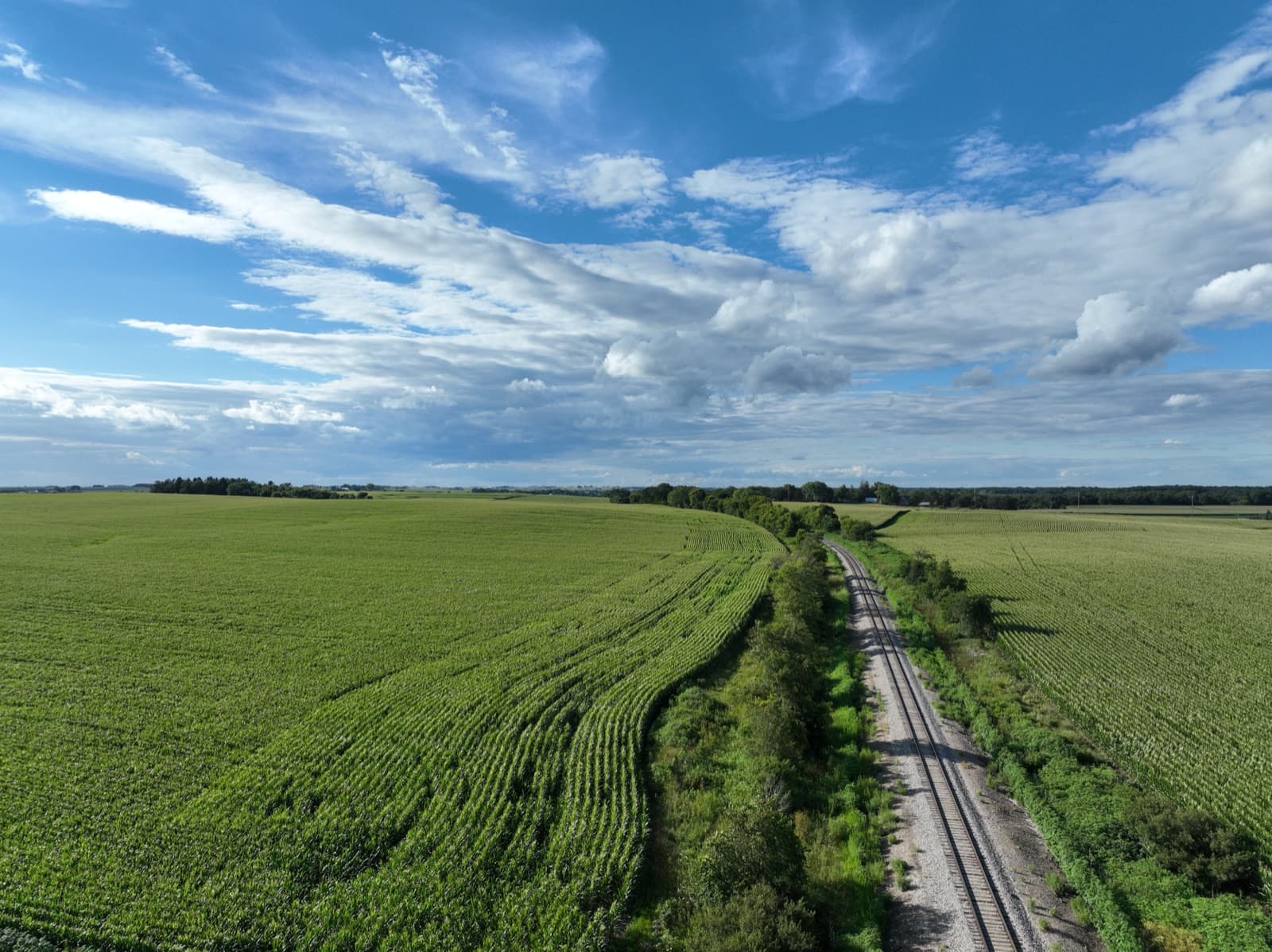 Rails Through the Corn