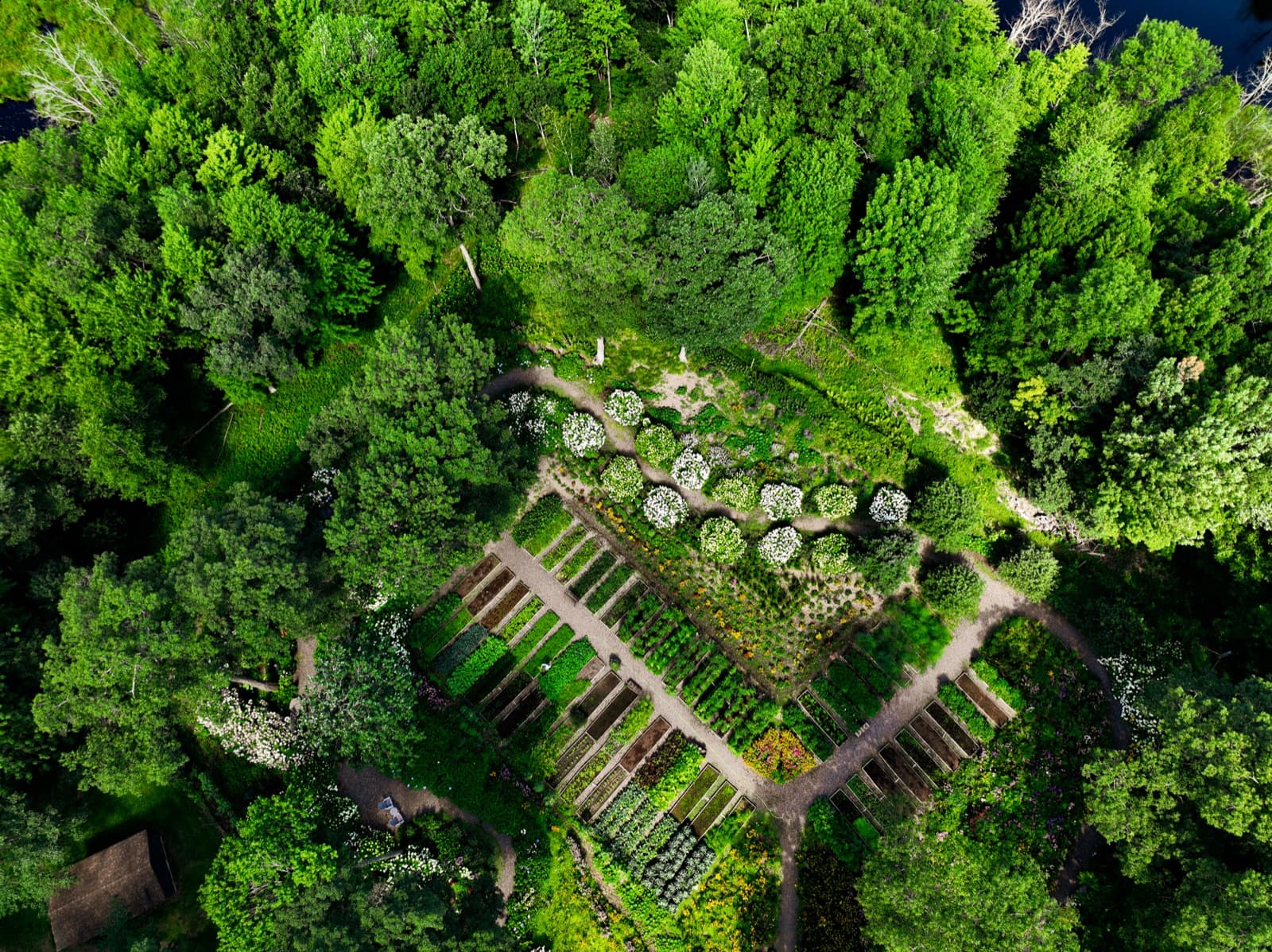 The Garden, Straight Down